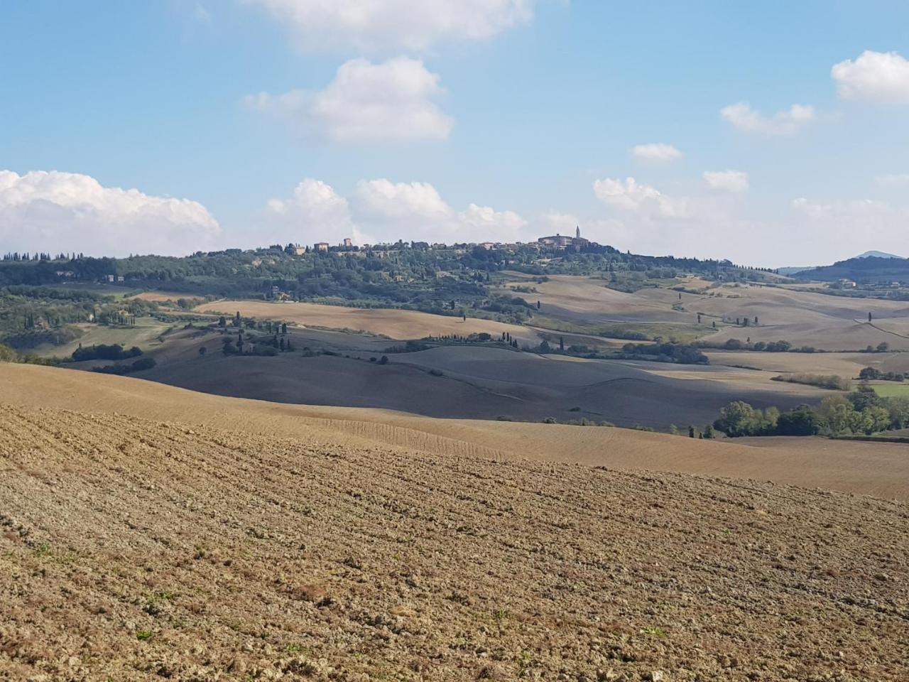 B&B Il Glicine Montefollonico Exterior photo