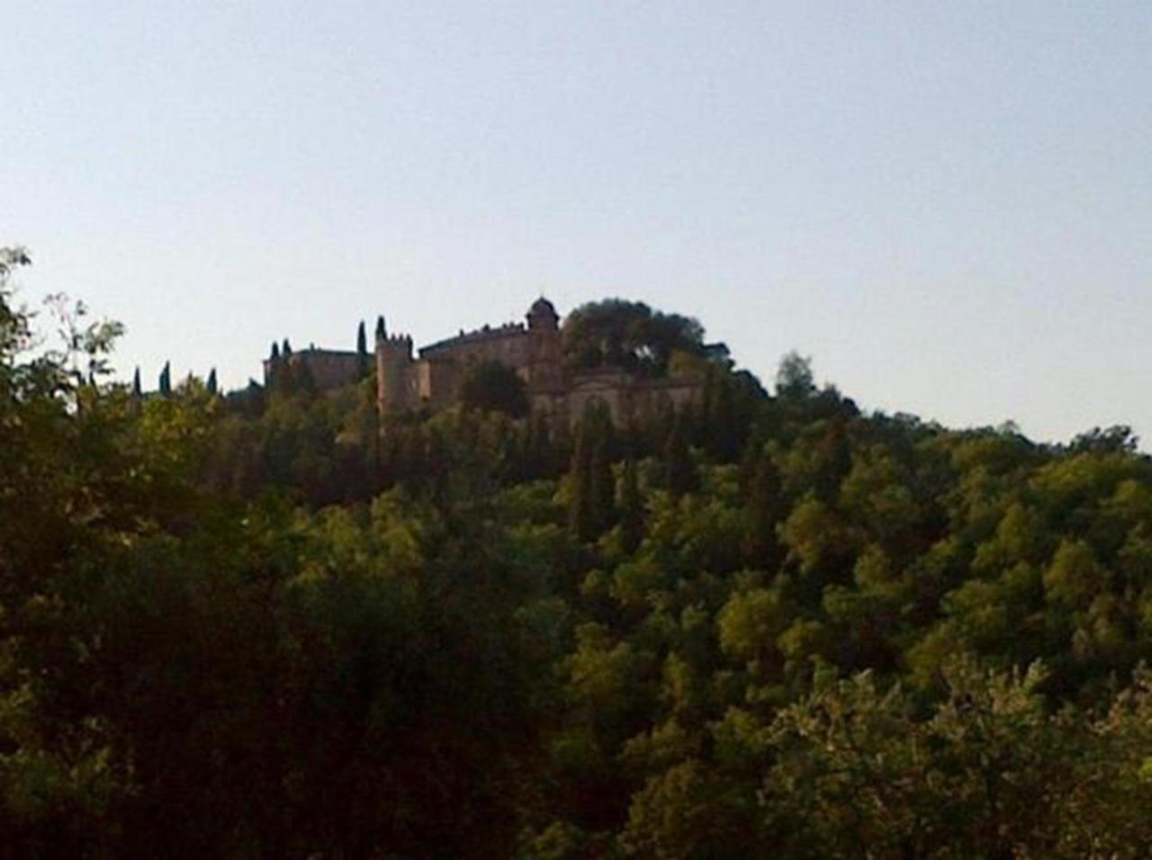 B&B Il Glicine Montefollonico Exterior photo